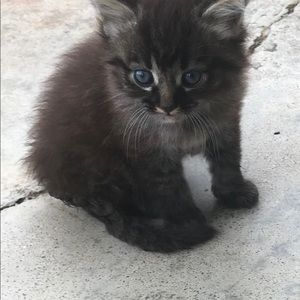 Meet your Posher, Kelli